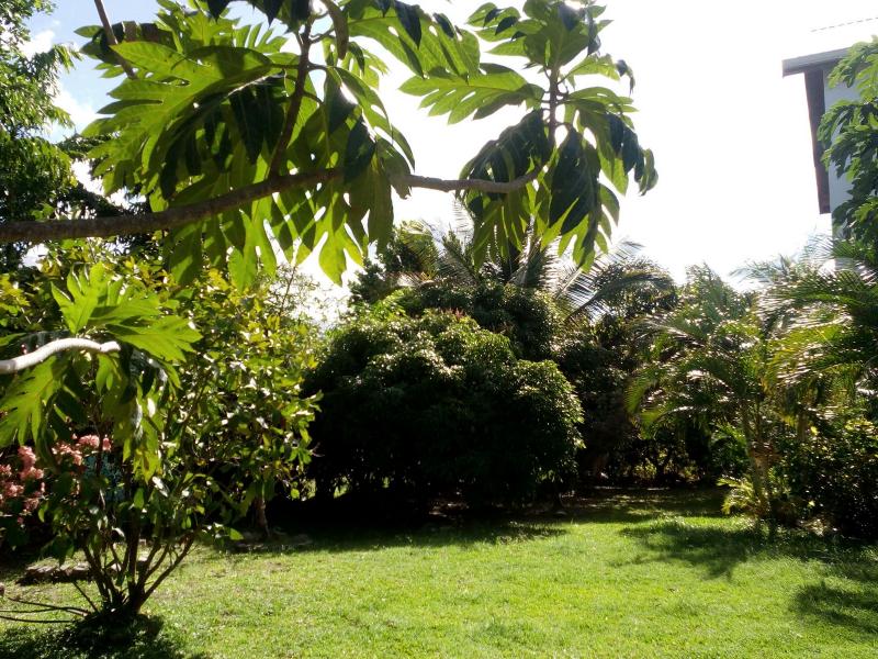 Kai Papai , 