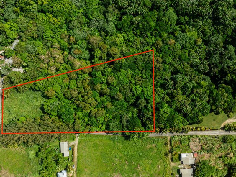 Lot 3 Bloomsbury , St Thomas 