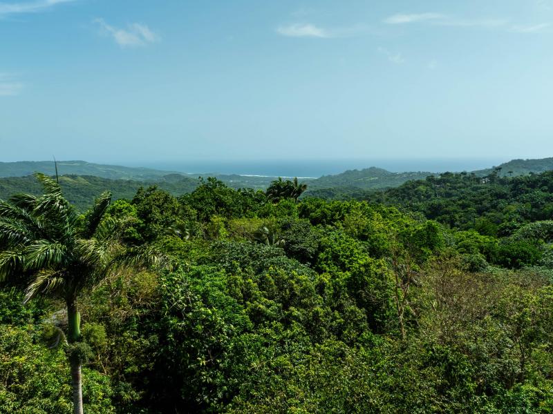 Lot 3 Bloomsbury , St Thomas 