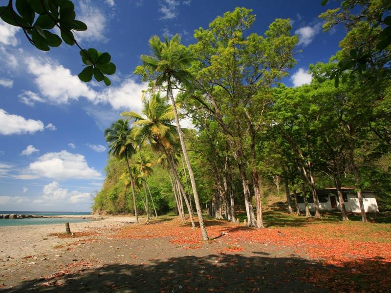 Anse Mahaut Estate , Soufriere 