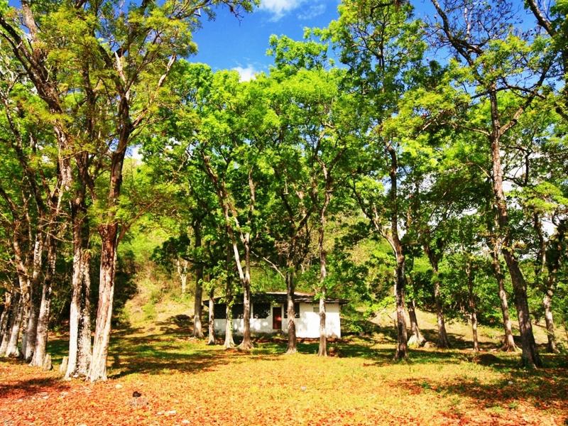 Anse Mahaut Estate , Soufriere 