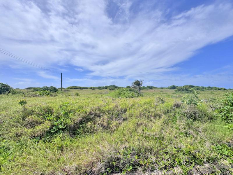 Atlantic Heights Phase 1A, Lot 9 , East Coast , St Philip 