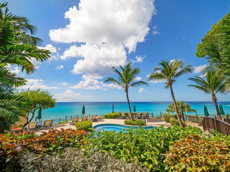 Sandy Cove 101- Beachfront , Beach Front , Paynes Bay , Sandy Cove , St James , West Coast 