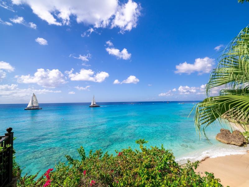 Sandy Cove 101- Beachfront , Beach Front , Paynes Bay , Sandy Cove , St James , West Coast 