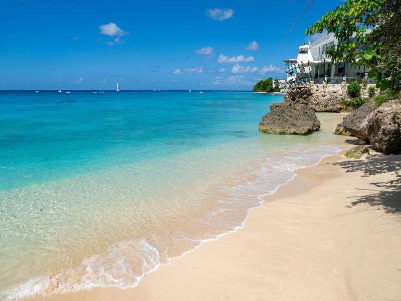 Sandy Cove 101- Beachfront , Beach Front , Paynes Bay , Sandy Cove , St James , West Coast 