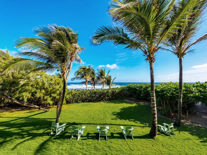 Seagrape , Beach Front , St Joseph 