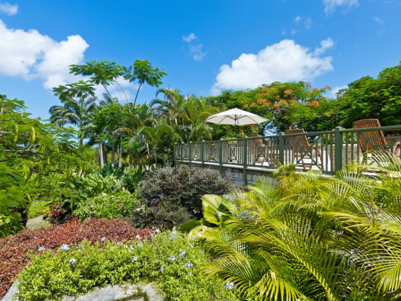 Strong Hope Plantation , St Thomas 