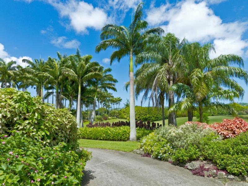 Strong Hope Plantation , St Thomas 