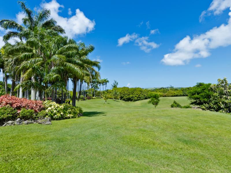 Strong Hope Plantation , St Thomas 