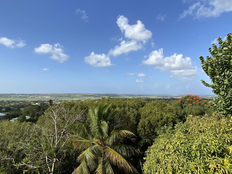 The Mount 9 , St George 