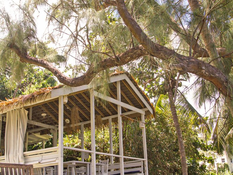 Eco Lodge and Lifestyle , East Coast , St Joseph 