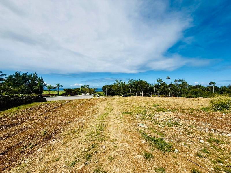 Mount Prospect land , St Peter 