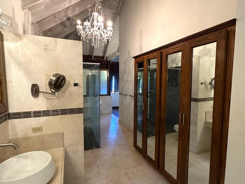 Wild Cane Ridge 4 , St John 