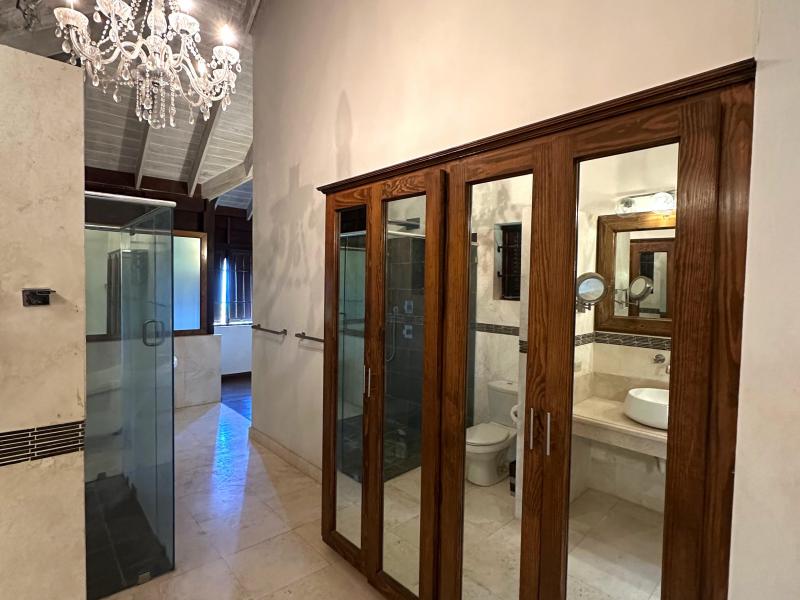 Wild Cane Ridge 4 , St John 