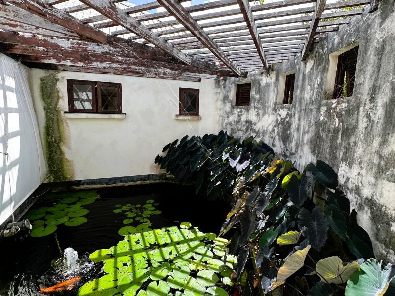 Wild Cane Ridge 4 , St John 