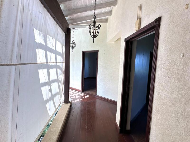 Wild Cane Ridge 4 , St John 