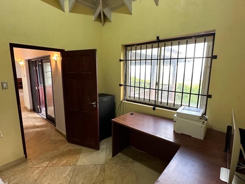 Wild Cane Ridge 4 , St John 