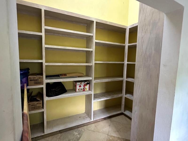 Wild Cane Ridge 4 , St John 