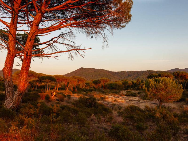 Domaine de la Calade , Cote D'Azur 