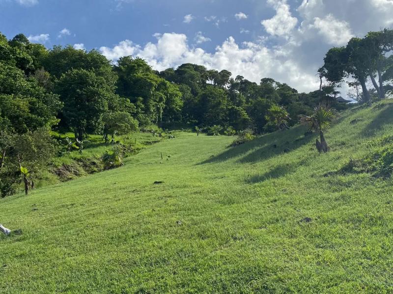 Mount Du Cap Waterfront Development Land , Gros lset 