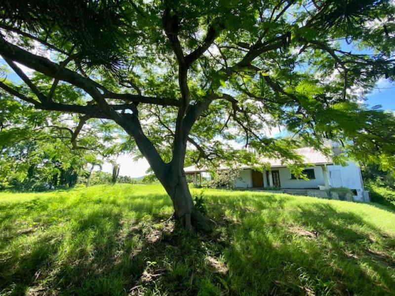 Vigie Waterfront Development Land , Vigie 