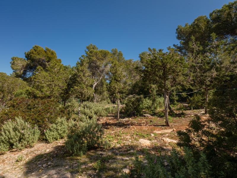 Smuggler’s Watch – Unique Ibiza Finca for Sale in San Juan Hills , San Juan 