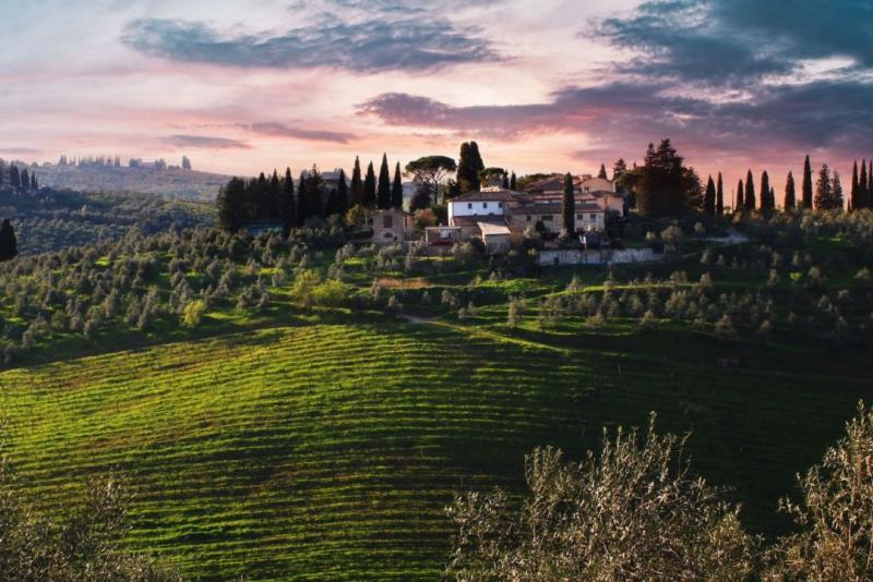 Wineries for sale for sale in Firenze - Scandicci
