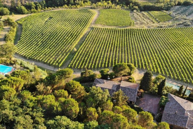 Estate with Winery and Historic Village for Sale in Greve in Chianti, Tuscany