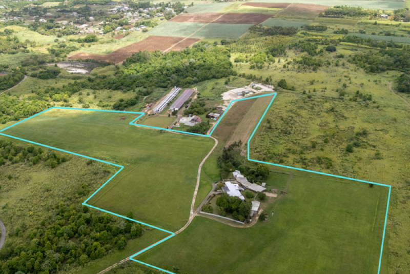 Belle Farm Lots 1A and 2A